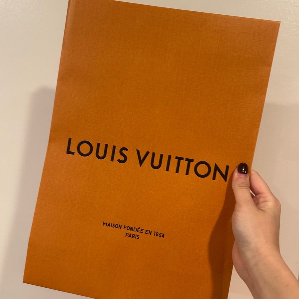 Louis Vuitton shopping bag